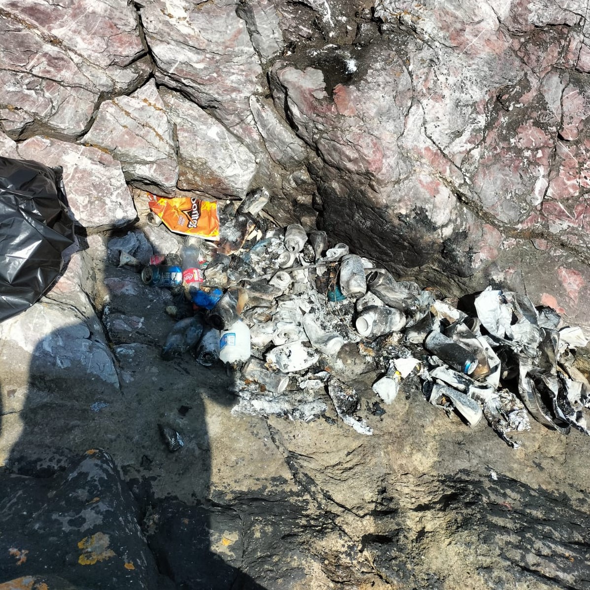 Torbay Coast & Countryside Trust tweet media