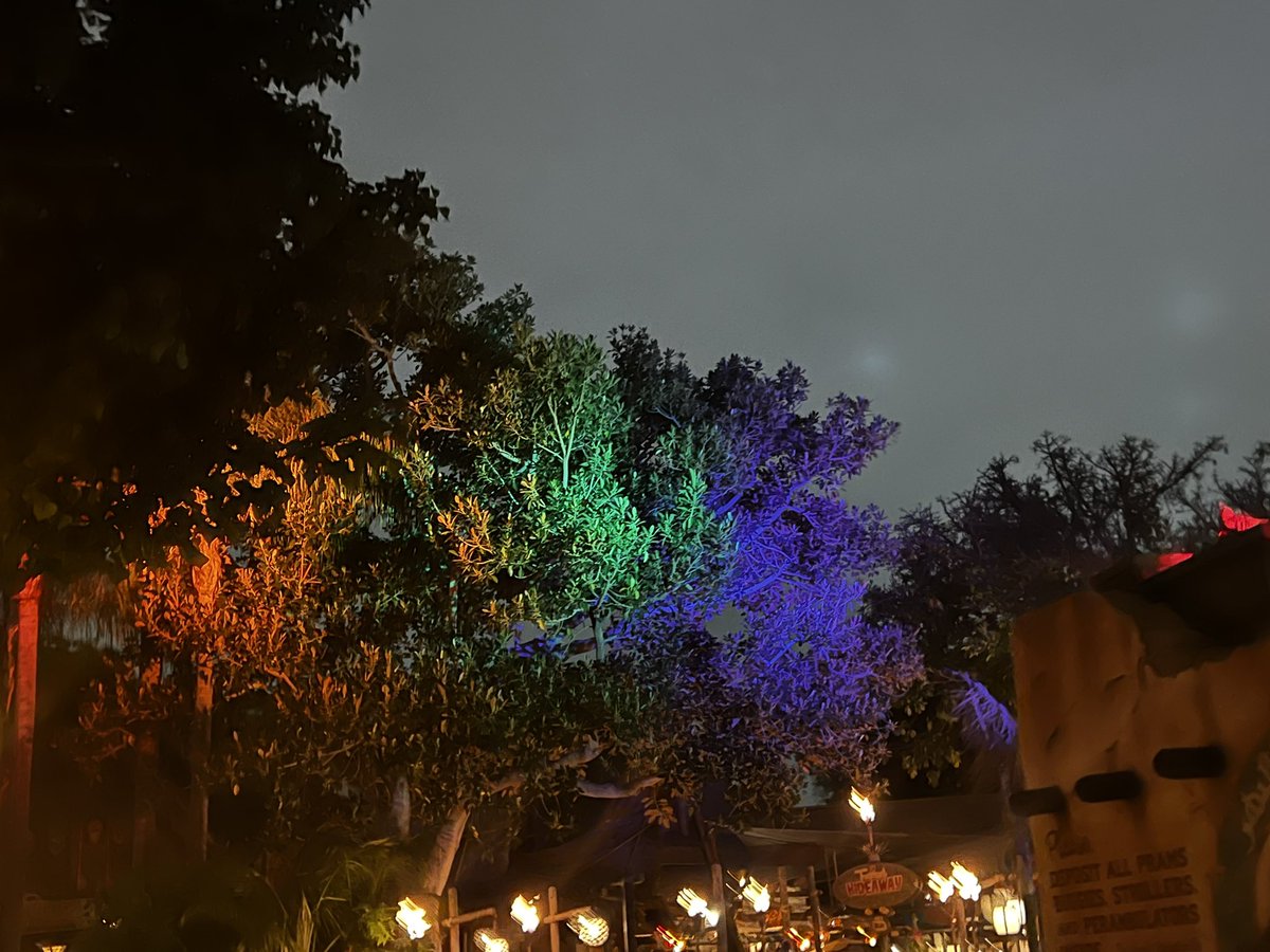 Steven Pope tweet media