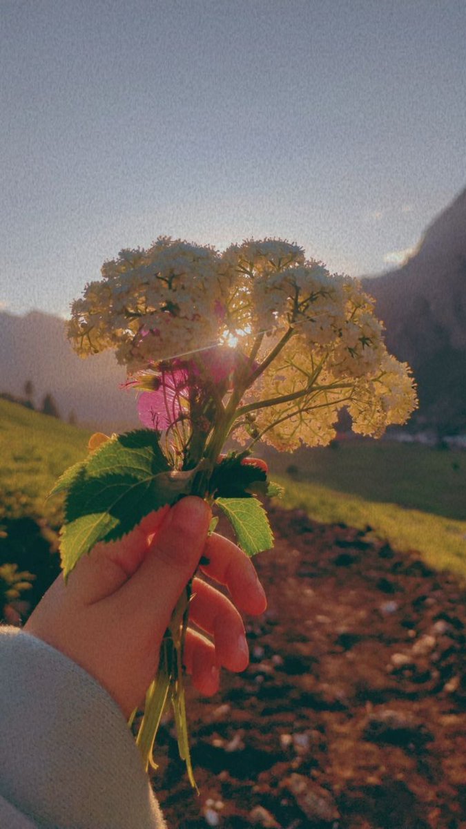BhatKulsum99's tweet photo. Make peace with the universe 💐🌈💜 https://t.co/e2891fHKxq
