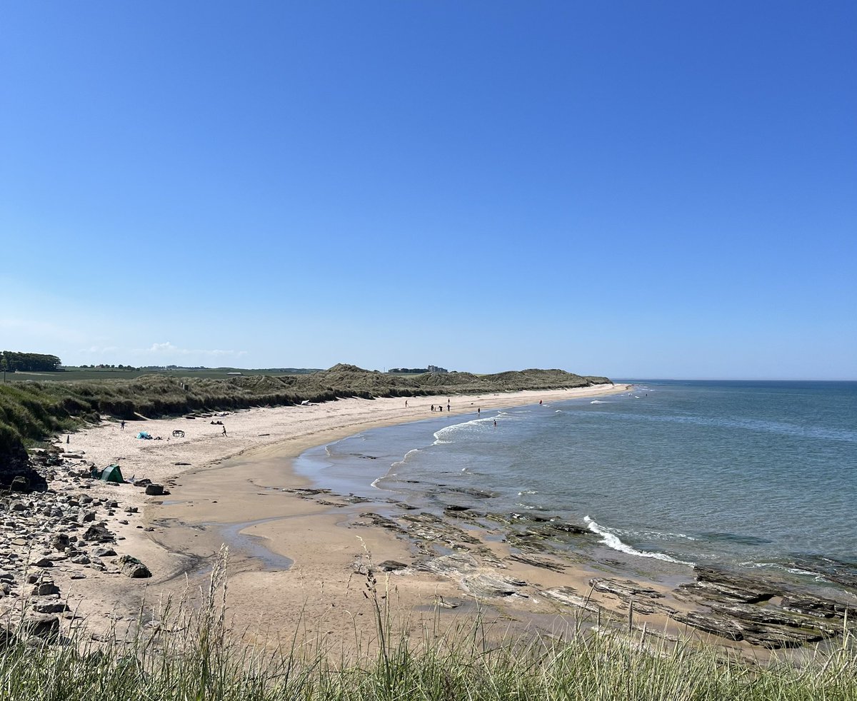 Julia De Soyza tweet media