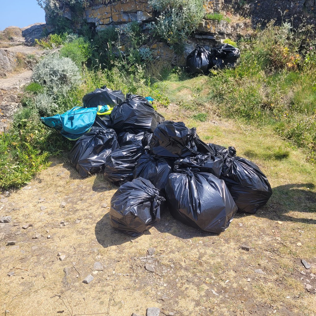 Torbay Coast & Countryside Trust tweet media