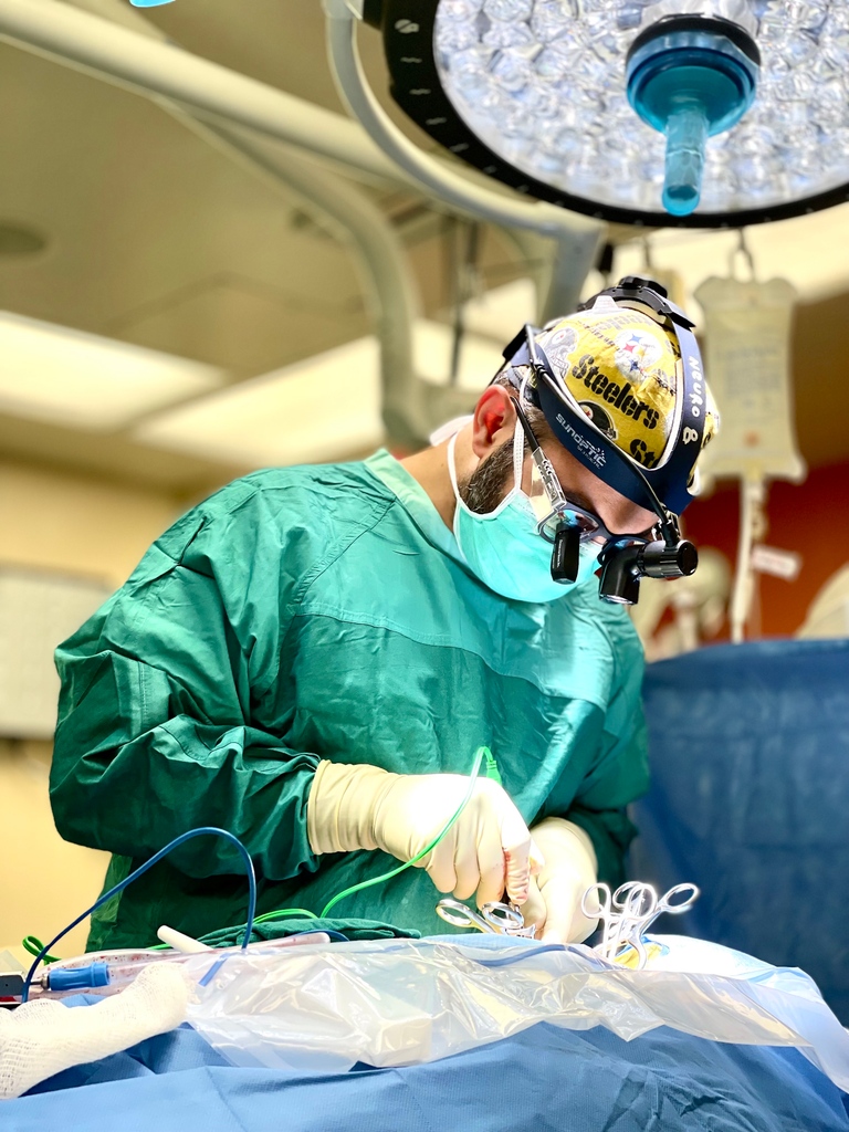 UofL Neurosurgery (@uoflneurosurg) on Twitter photo Congratulations Dr. Nicolas Khattar on graduating from our Residency Program! We are excited to see what your journey has in store! Wishing you the best of luck as you take your next steps into #Fellowship at <a href="/SemmesMurphey/">SemmesMurpheyClinic</a>
#Neurosurgeon #Resident #Graduate <a href="/UofLHealth/">UofL Health</a> @UofL Congratulations Dr. Nicolas Khattar on graduating from our Residency Program! We are excited to see what your journey has in store! Wishing you the best of luck as you take your next steps into #Fellowship at <a href="/SemmesMurphey/">SemmesMurpheyClinic</a>
#Neurosurgeon #Resident #Graduate <a href="/UofLHealth/">UofL Health</a> @UofL