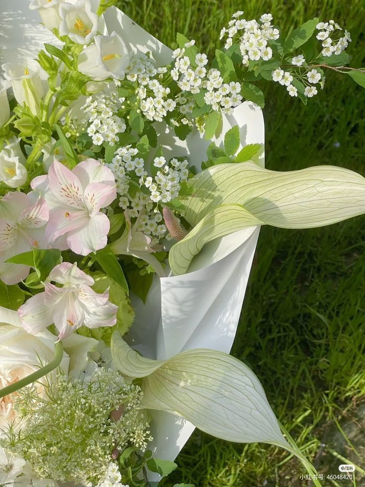 softdeIicacy's tweet photo. fresh flowers. https://t.co/8qruCha8sy