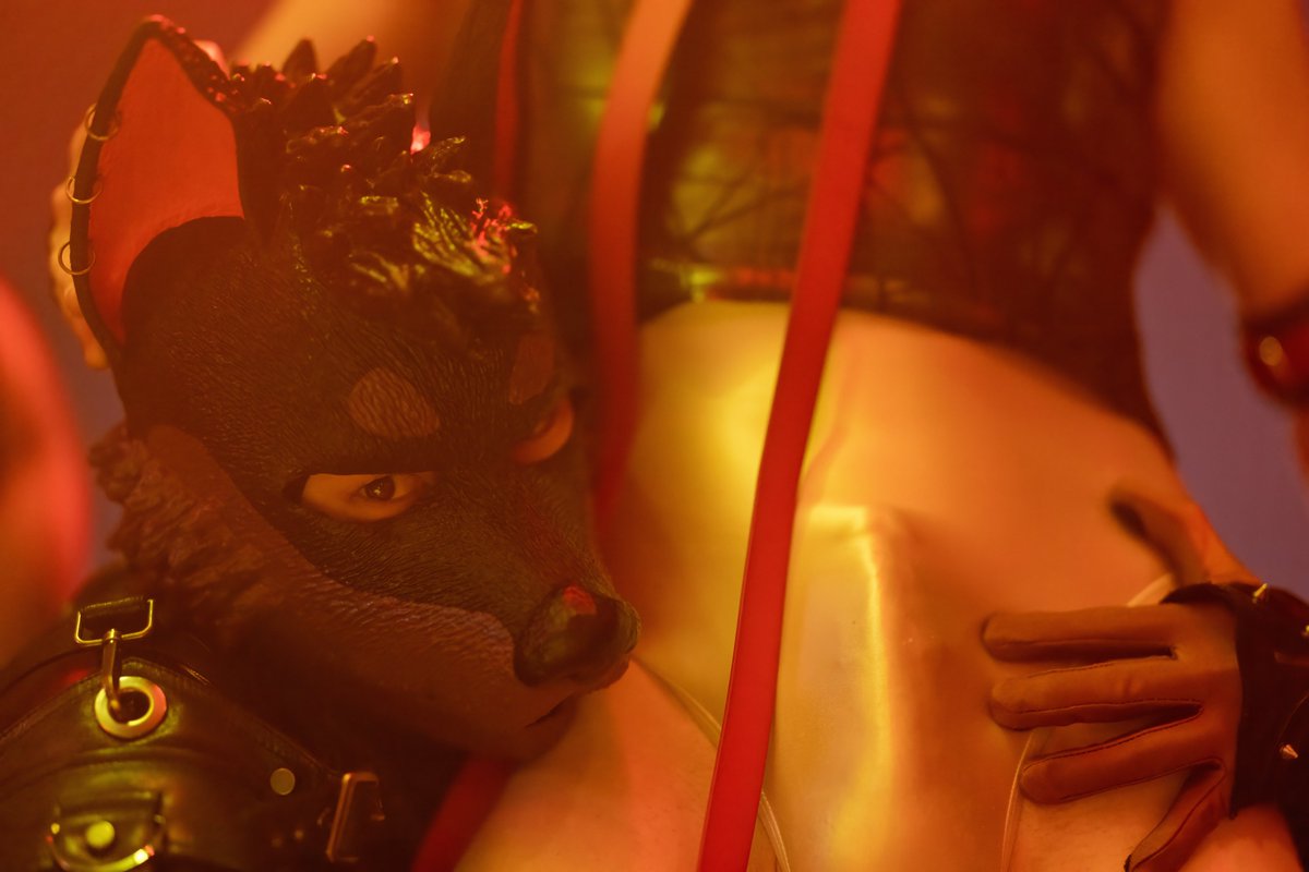 Dogs can't help chasing after a bone..
#FursuitFriday with <a href="/Pup_Leo/">Kory💜Miki💙Razz</a> at <a href="/FrolicParty/">FrolicParty</a>
📷 by <a href="/RubberHandler/">Pup Rally, The Camera Dog</a>