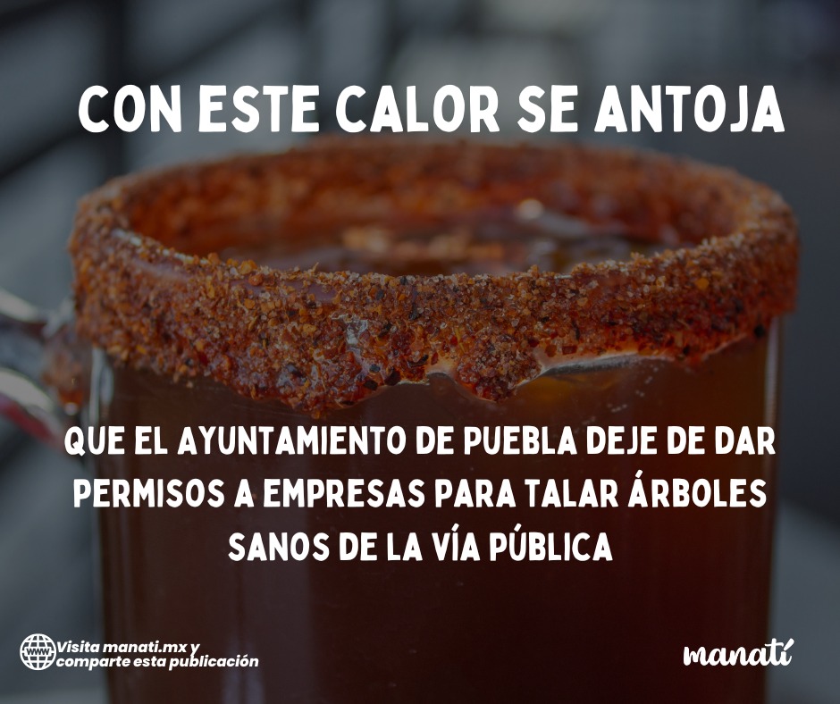Manatimx's tweet photo. Confirmen🥵🔥

MÁS INFORMACIÓN AQUÍ:
--> https://t.co/xsia5xFhbG https://t.co/YBexhCU55u