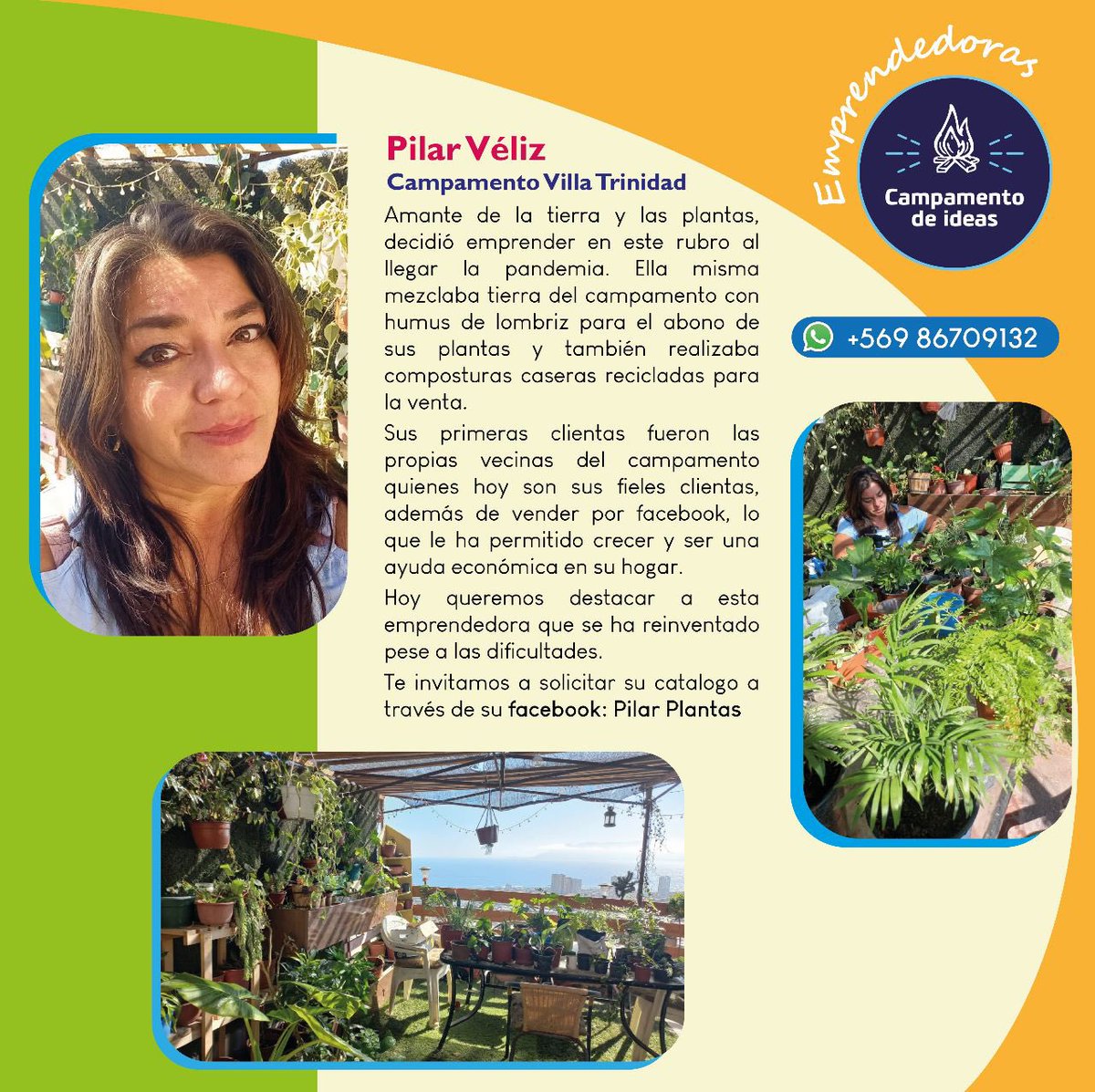 ¡Rincón de emprendedores!

Hoy te presentamos #historiasdeexito a nuestra emprendedora del Campamento Moisés, quien se dedica al rubro de venta de ropa y accesorios, te dejamos una reseña y te invitamos a solicitar su catálogo a través del número de teléfono.