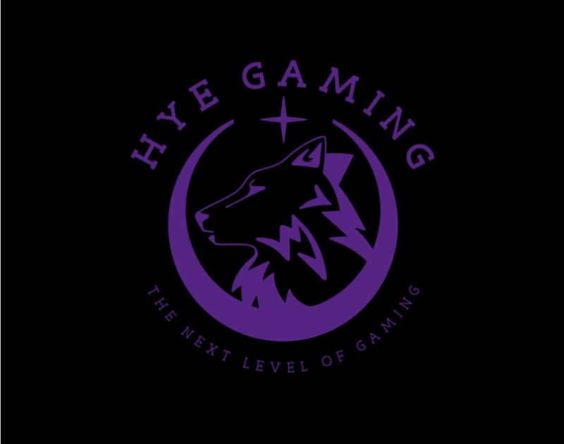 HYE GAMING "Next Level Gaming!" tweet media