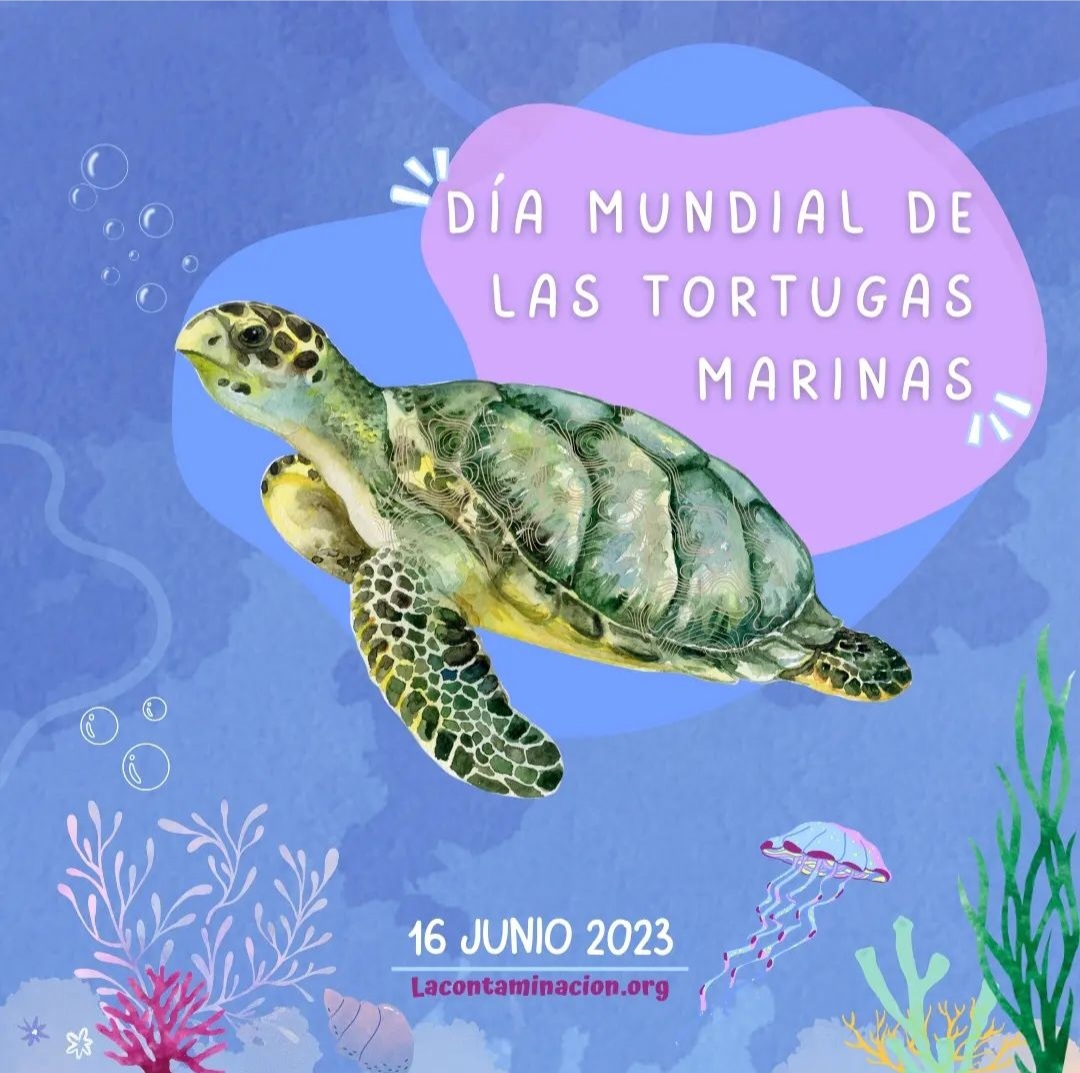 #DiaMundialDeLasTortugasMarinas  🐢🌊Son importantísimas para ls #ecosistemasmarinos,¡Ayudemos a protegerlas!Cuando ls #TortugasMarinas anidan en ls playas contribuyen a fertilizar las arenas.Son irremplazables,ellas merecen vivir.Juntos podemos dejar d ser su principal amenaza