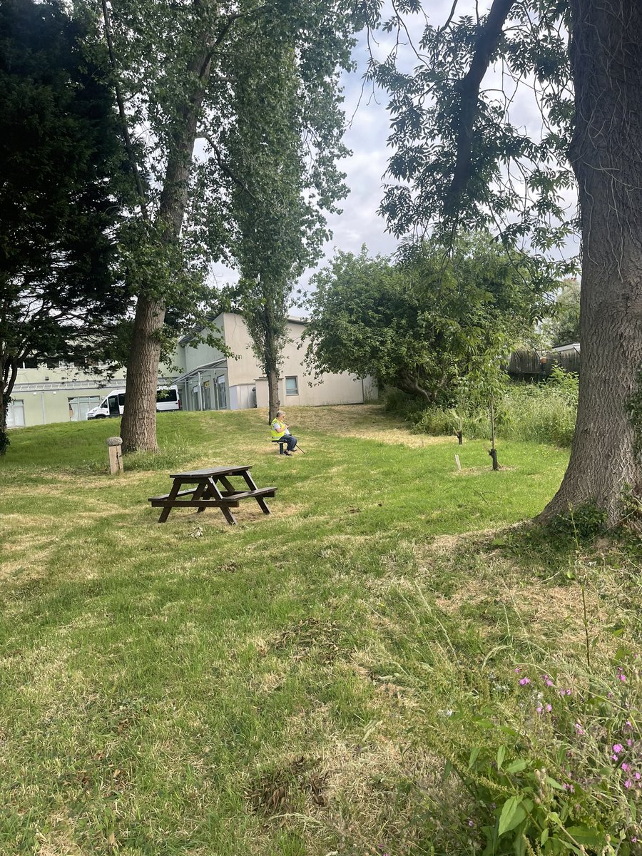 🌱Who knew that there was so much Biodiversity in one area!!!

#ThinkGreen #OurArea #OurCommunity #educate #plants #trees #flowers #insects 
#ItsWhatWeDo #CoopRadio #CoopMPs