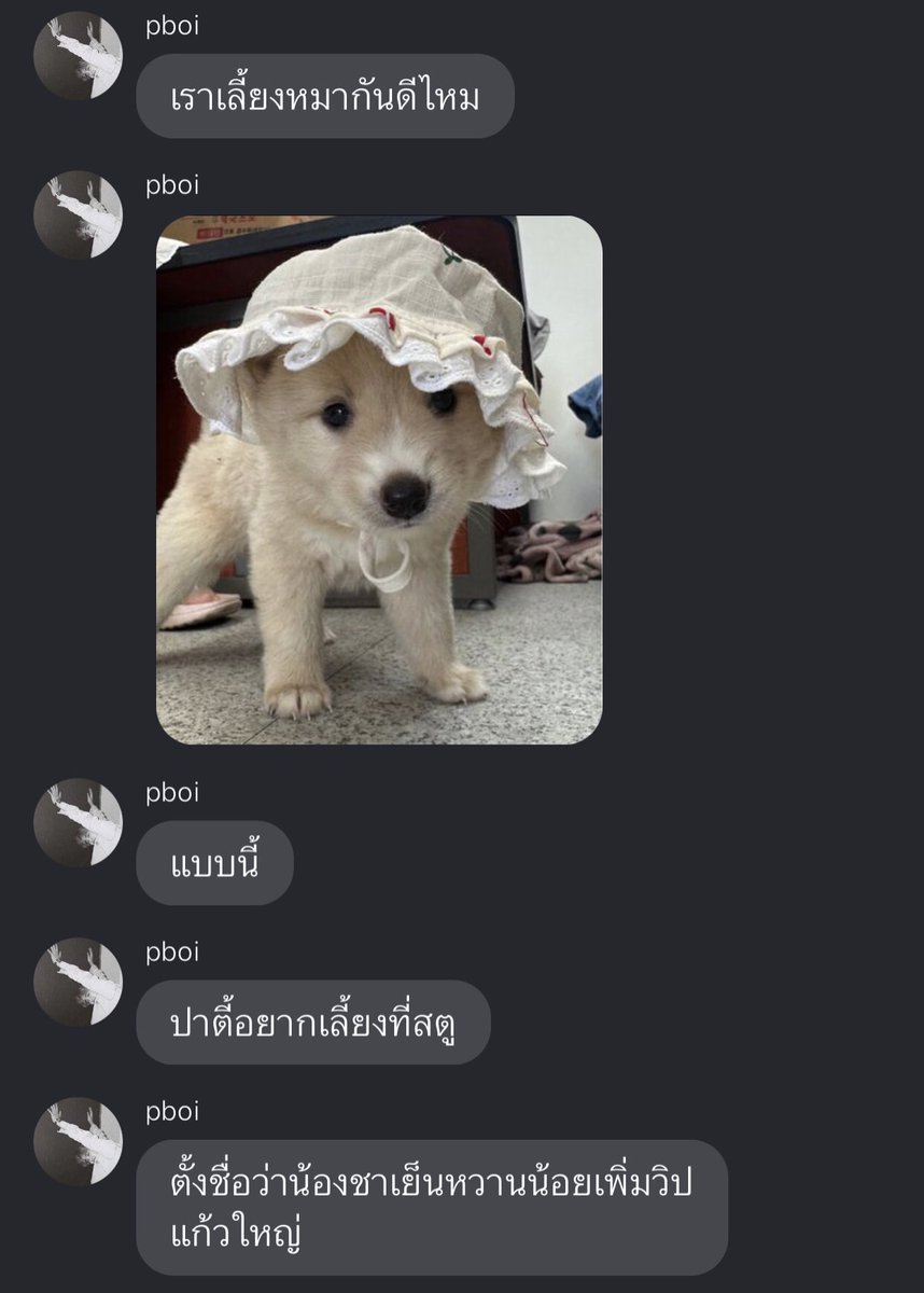 takemybear 🐶 tweet media