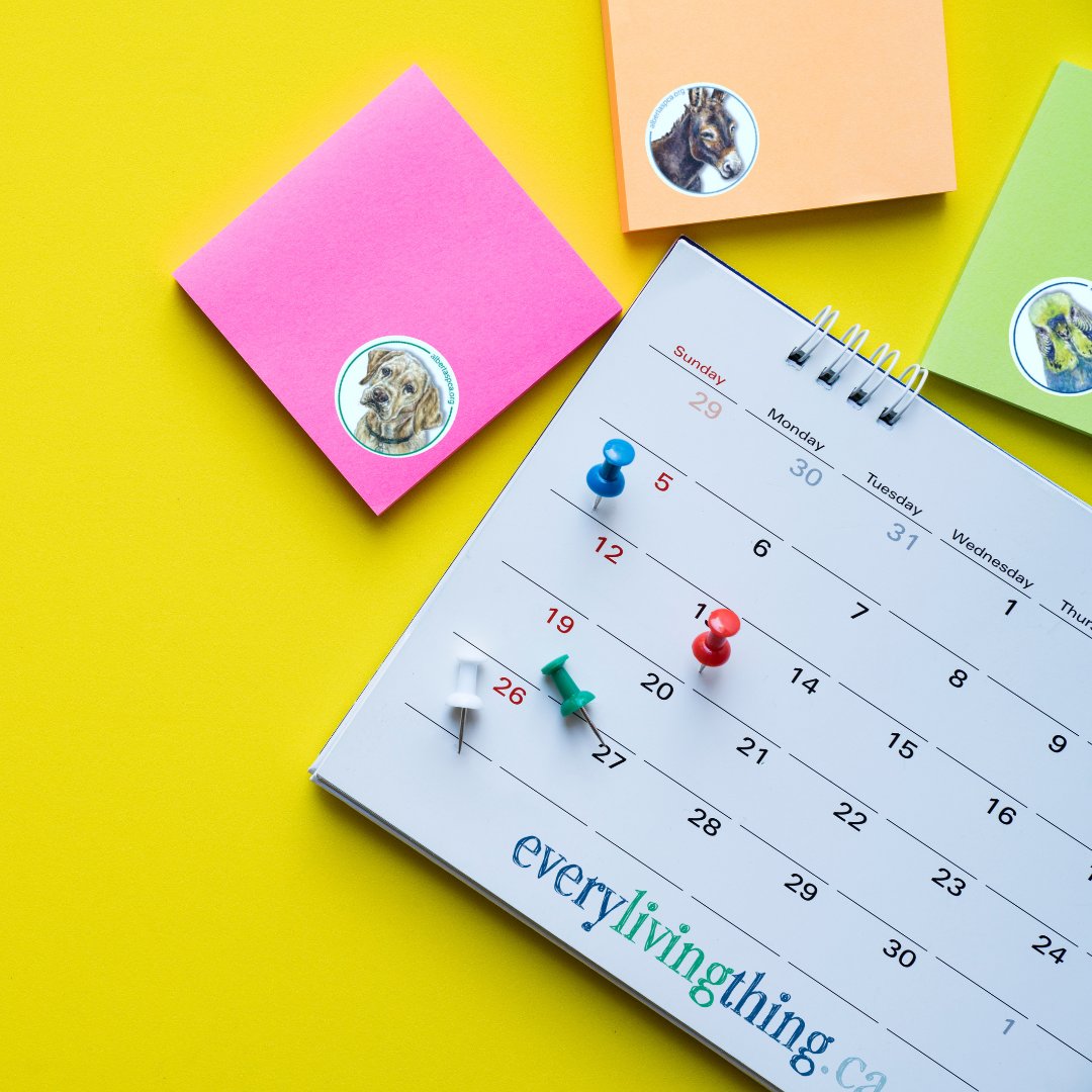 Alberta SPCA Education tweet media