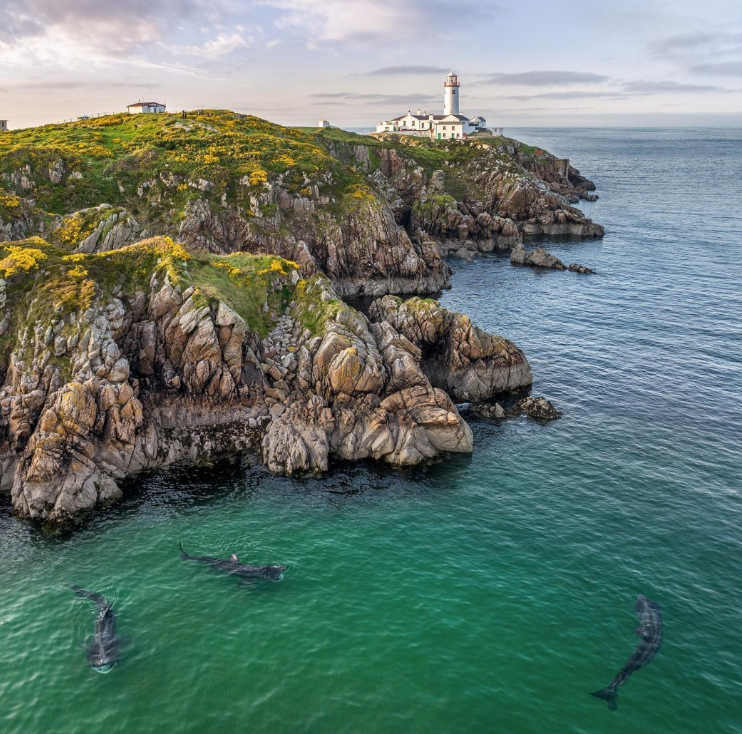 Love Irish Tours Ireland Tours The Best Irish Tour Company