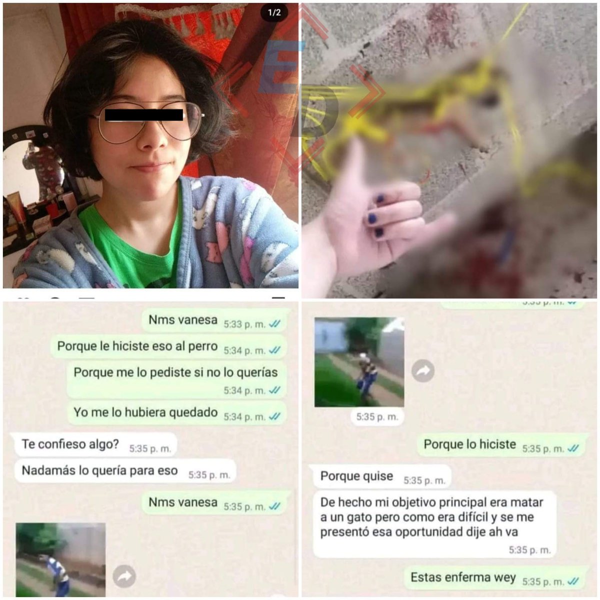 📢 || Denuncian a través de redes sociales a una alumna del CBTIS de #Huauchinango quien adoptó a un perrito solo para matarlo. <a href="/IBAGobPue/">Instituto de Bienestar Animal PUE</a> ya investiga el delito. #LaRedCincoRadio #Puebla