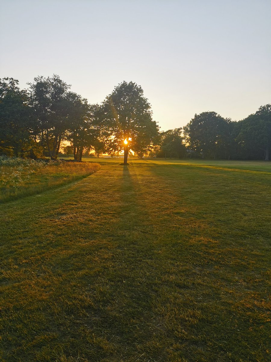 grennkeeperJGK's tweet photo. Some pictures from trummenäs Golfclubb https://t.co/wKvU1ZpDgE