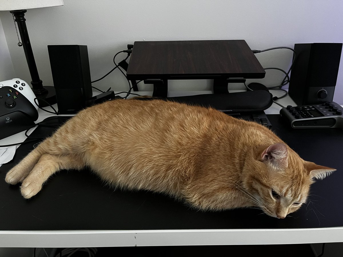 Gene Park tweet media