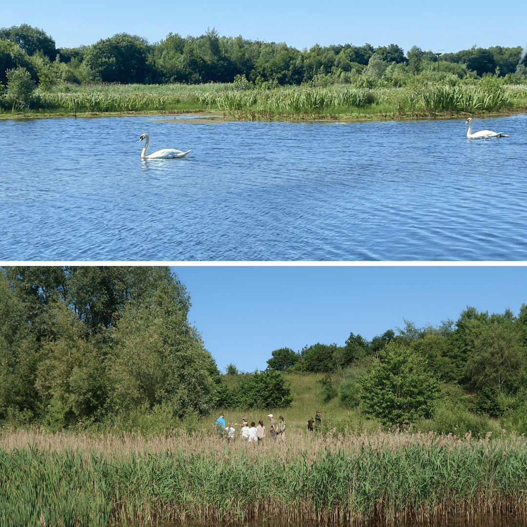 thewebinarvet's tweet photo. We're delighted to have hosted the 2nd Veterinary Green Discussion Forum at Brockholes Nature Reserve this week. ππ±
We were joined by attendees from across the veterinary profession for two days of inspiring talks & discussions around sustainability. Thank you all! #VGDF23 https://t.co/kL6uhqR9Jh