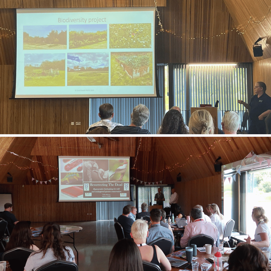 thewebinarvet's tweet photo. We're delighted to have hosted the 2nd Veterinary Green Discussion Forum at Brockholes Nature Reserve this week. ππ±
We were joined by attendees from across the veterinary profession for two days of inspiring talks & discussions around sustainability. Thank you all! #VGDF23 https://t.co/kL6uhqR9Jh