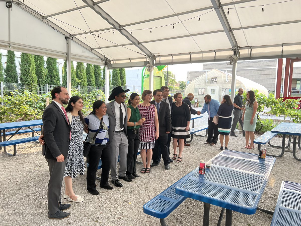 WU Transplant Neph tweet media