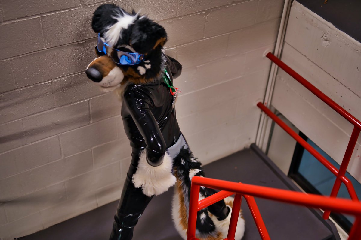 Damn you caught me! And now what’s next?