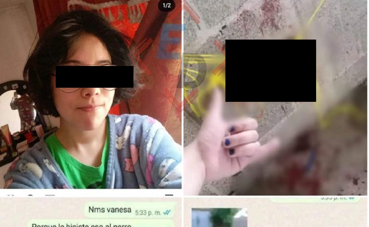 Puebla on Twitter: "FUERTES FOTOS: Adolescente poblana adopta a perrito, lo  tortura y mata https://t.co/gzVVf57nxh https://t.co/DfA9ASDIZr" / Twitter