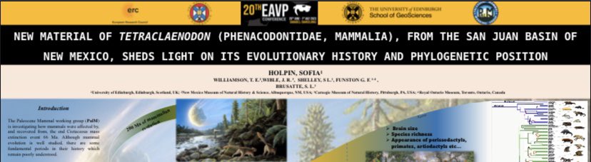 Just in time for #FossilFriday poster for @EAVPalaeo #EAVP2023! 
More Tetranoodles🐴💀🦴