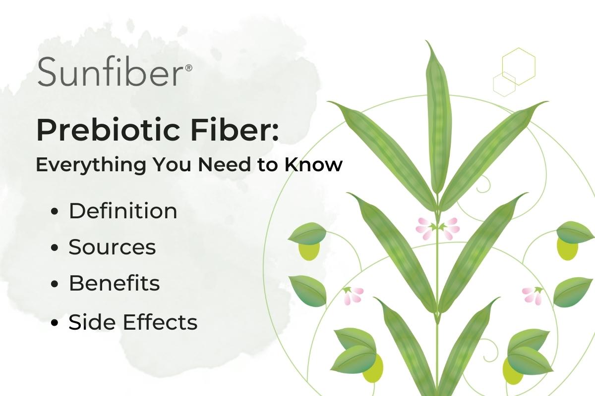 taiyoint's tweet photo. We’ve assembled helpful resources about prebiotic fiber, including its benefits, best sources and more.

Learn more about prebiotic fiber by clicking the link below.

https://t.co/ENhvDFSFJJ

#Prebiotics #PrebioticEffect https://t.co/jaCBkTxdS9