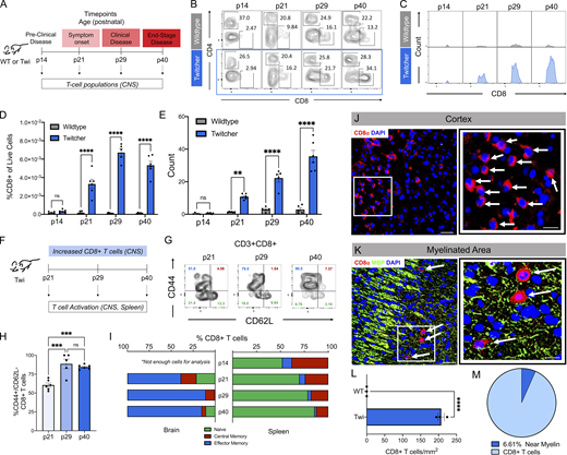 John Lukens tweet media