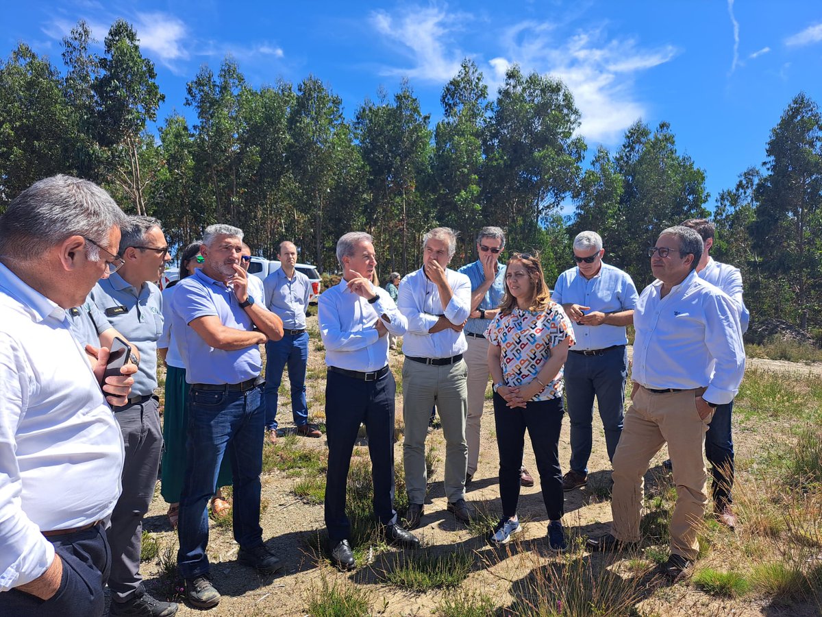 ambiente_pt's tweet photo. O #SECNF, João Paulo Catarino, visitou, com autarcas, ICNF, Florestgal e produtores florestais, trabalhos de recuperação de áreas ardidas, rede primária, prevenção contra incêndios rurais e regeneração natural em zonas do Pinhal Interior atingidas pelos terríveis fogos de 2017. https://t.co/2lyktv8yv7