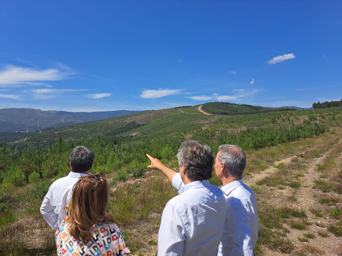 ambiente_pt's tweet photo. O #SECNF, João Paulo Catarino, visitou, com autarcas, ICNF, Florestgal e produtores florestais, trabalhos de recuperação de áreas ardidas, rede primária, prevenção contra incêndios rurais e regeneração natural em zonas do Pinhal Interior atingidas pelos terríveis fogos de 2017. https://t.co/2lyktv8yv7