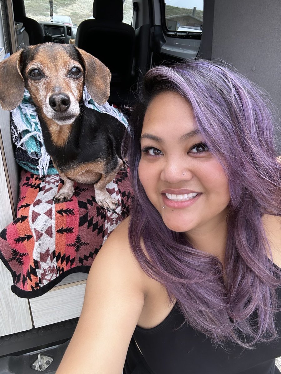 thinkcaroline's tweet photo. Bodega Bay day trip yesterday in the camper van! Summer adventures with Tibbers are just around the corner! ☺️🚐 https://t.co/1ZypmNBxax