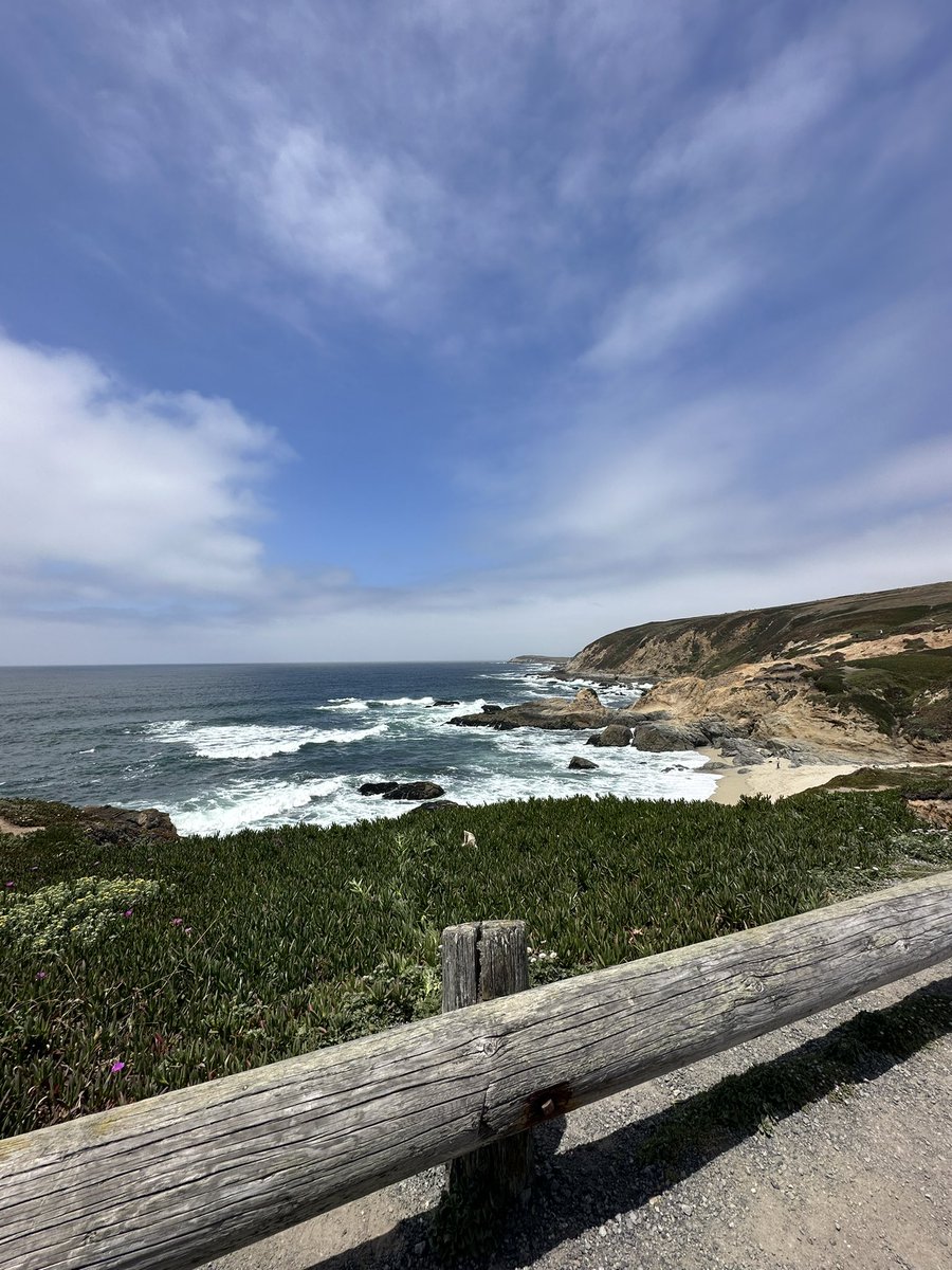 thinkcaroline's tweet photo. Bodega Bay day trip yesterday in the camper van! Summer adventures with Tibbers are just around the corner! ☺️🚐 https://t.co/1ZypmNBxax