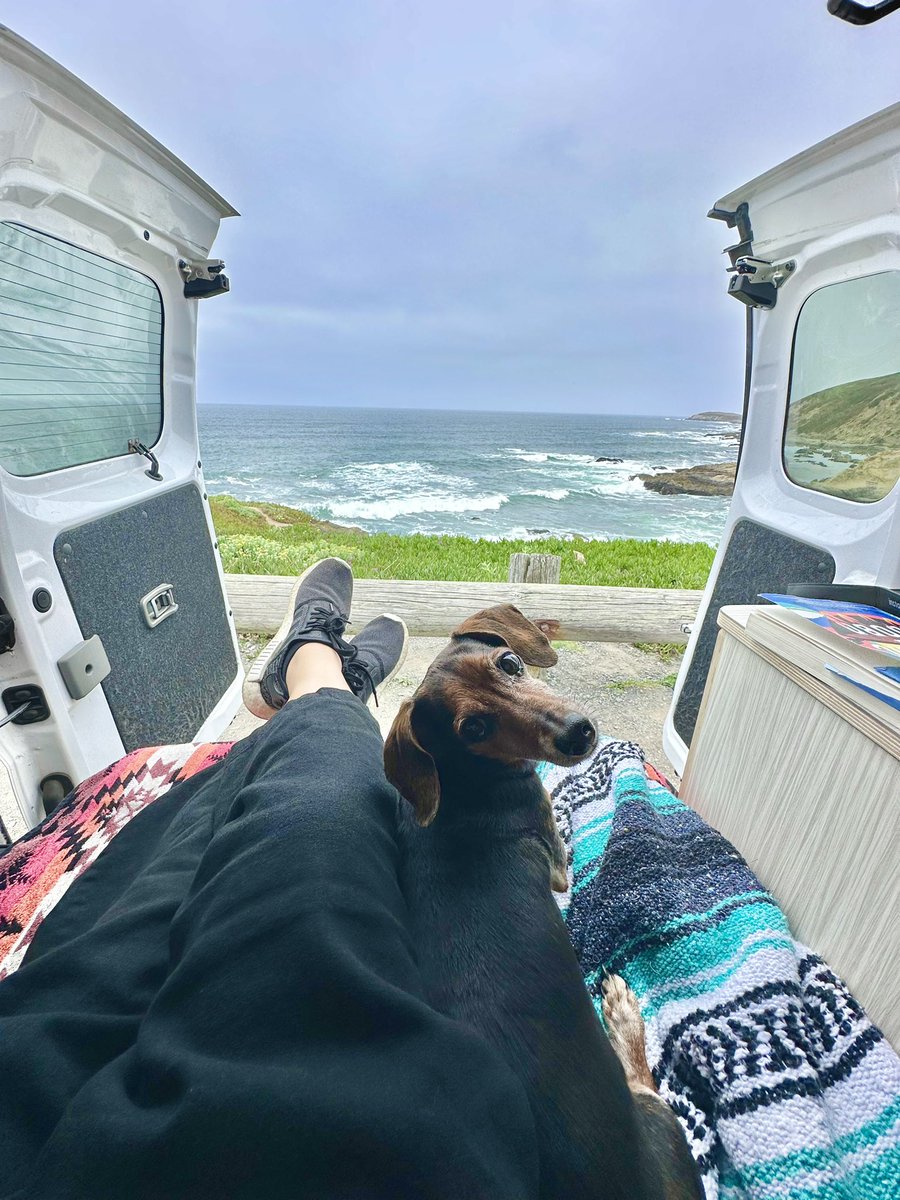 thinkcaroline's tweet photo. Bodega Bay day trip yesterday in the camper van! Summer adventures with Tibbers are just around the corner! ☺️🚐 https://t.co/1ZypmNBxax