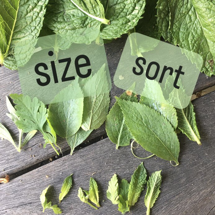 Sprightly Whiteley tweet media