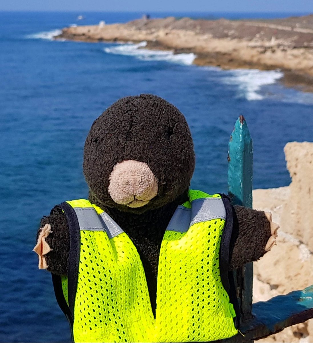 I FINISHED THE FIRST DRAFT OF SECOND MOLEY! YAY!
#amolelikenoother 
#moleyandfriends 
#Moley