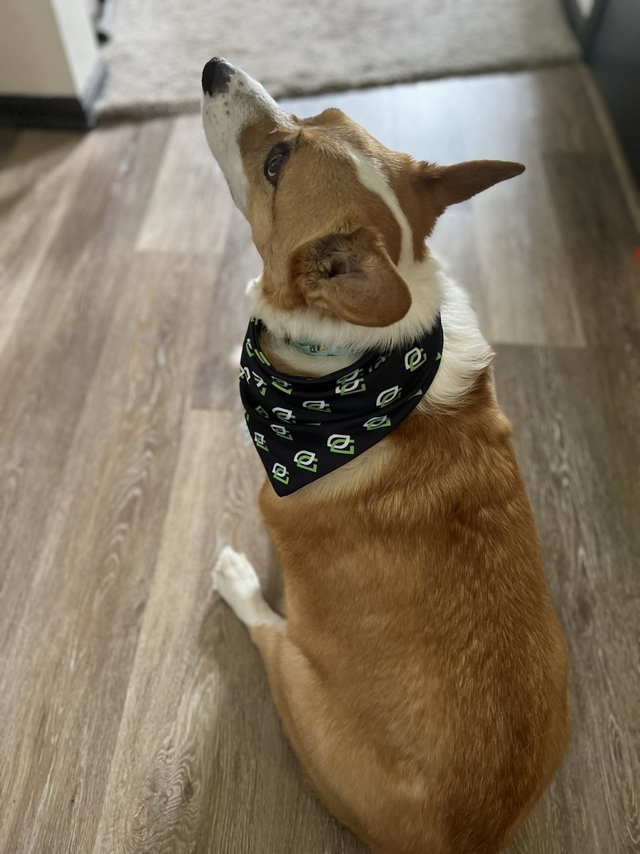 WokeUpDreamTeam's tweet photo. Massive THANK YOU in order for @jud3 and Liv for the incredible addition to Odin’s wardrobe on #CDLChamps weekend! He will be matching his Dad while we cheer on the boys @OpTicTexas and supporting the #GREENWALL like we always do! OpTic over EVERYTHING. MORE THAN JUST A TEAM. https://t.co/vY9IAlRIC4