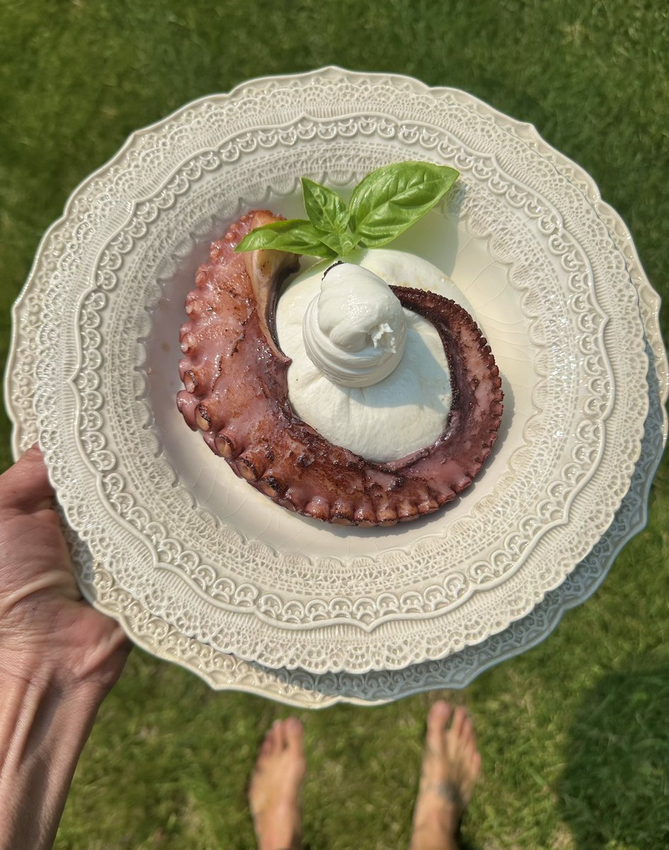 What are you having for lunch? 

I’m creating a little Italian retreat at my home ❤️

#lunch #whatieat #Carnivore #octopus