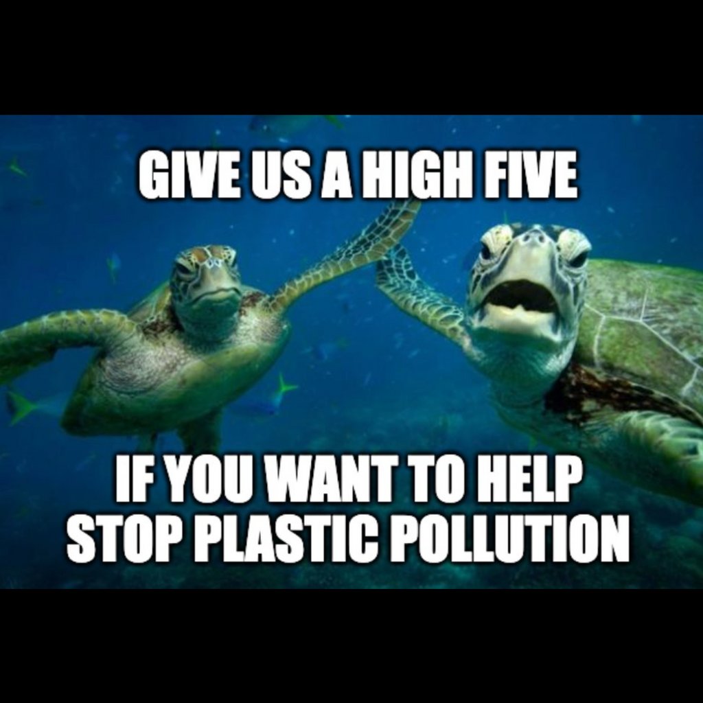 PlasticPollutes's tweet photo. Happy #WorldSeaTurtle Day! ๐ข Plastic is a physical danger to sea turtles, causing entanglement, entrapment, choking & bodily blockages. It is also a chemical danger to sea turtles, exposing them to a constant stream of toxic chemicals. #PlasticPollutes #BreakFreeFromPlastic โ https://t.co/ItCVUPJHiB
