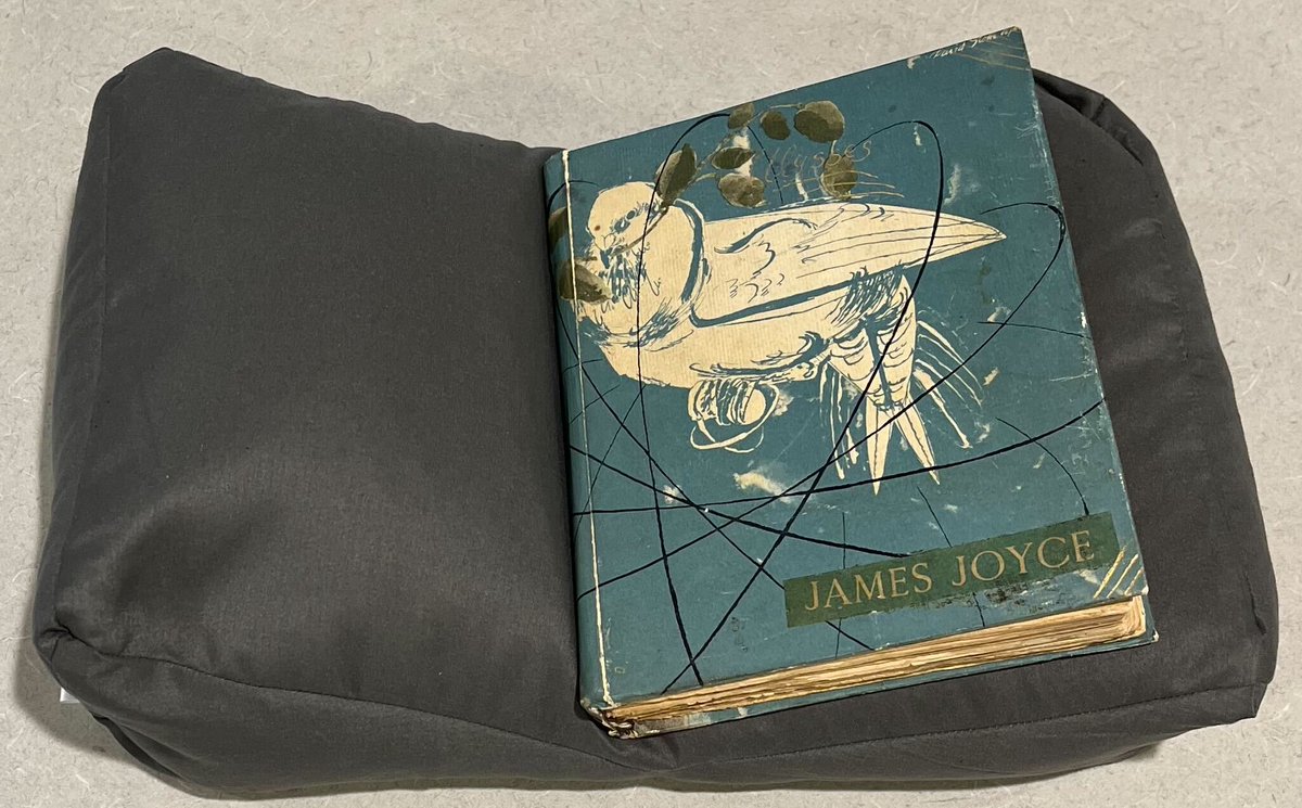 SchafferLibrary's tweet image. Happy Bloomsday! On June 16, lovers of James Joyce everywhere celebrate Joyce and his book Ulysses. Schaffer has two rare 1st editions of Ulysses: the 1st and 9th printing, both in Special Collections.

#Bloomsday2023 #JamesJoyce #SylviaBeach