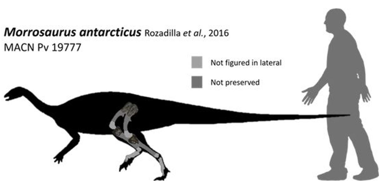 Balthazar - Blog – Running the Port Nyanzaru Dinosaur Race