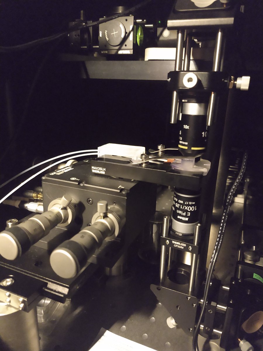 How beautiful microscopy gear can be? #plasmonics #microscopy #trapping #proteins