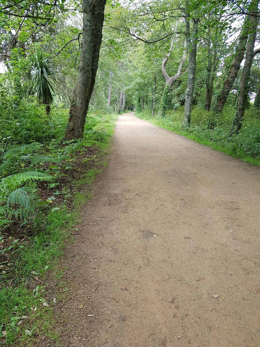 BorderlandCally's tweet photo. 4 yrs ago today we walked from St H, via St A, along the Railway Walk & back @Loonybean @Minibeanjsy
Nearly 15 miles, you a bit further & that bloody seagull!! It was a memory walk in more ways than one!
Miss you dearly my friend @Noslop π’ #CharlesPolsonMemoryWalk https://t.co/KJG9v1CUlo