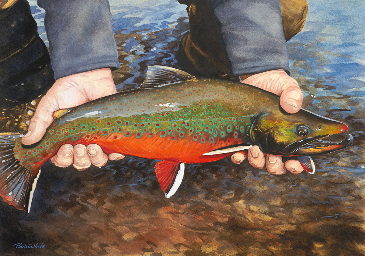 My daily post of artwork attempts to make Twitter and the world a little nicer place to hang out.        

Enjoy!    

'One Last Look - Dolly Varden' - 24' x 17' - watercolor on archival paper ©2009 BobWhiteStudio    

#flyfishing #flyfishingart #Alaska #BristolBay #sportingart