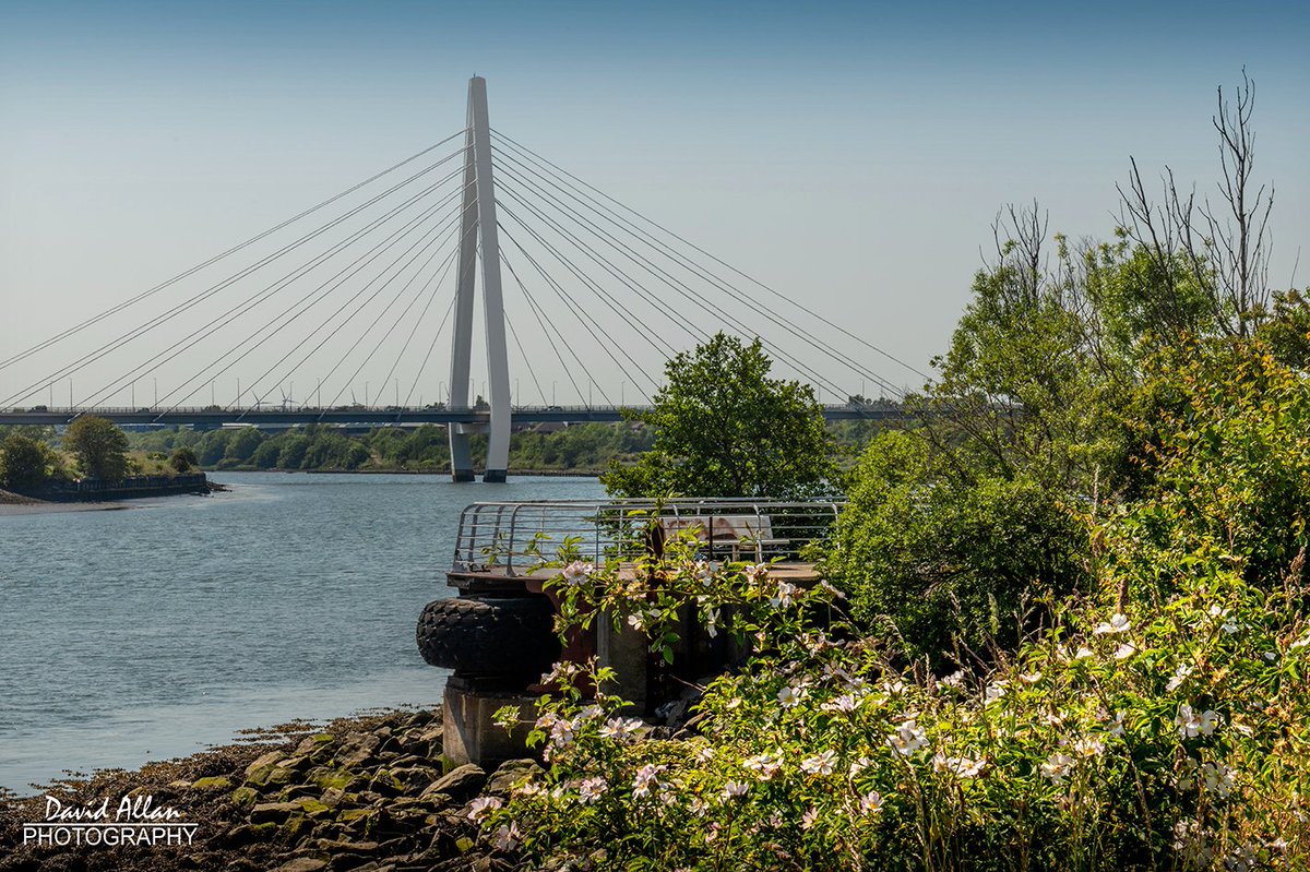 Wearside weather – what a week it's been! As work gets underway further downstream on another river crossing, the Northern Spire pictured basking in the warm sunshine and blue skies... @VisitSundUK @SunderlandUK @RiversideSund @NorthEastTweets @VisitEngland @VisitBritain