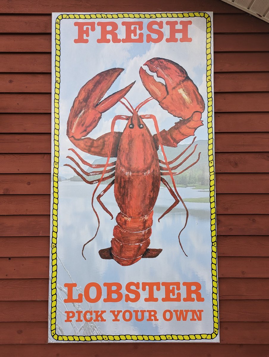 We visited a lobster orchard today! #lobster #capebreton #motorcycle #vacation