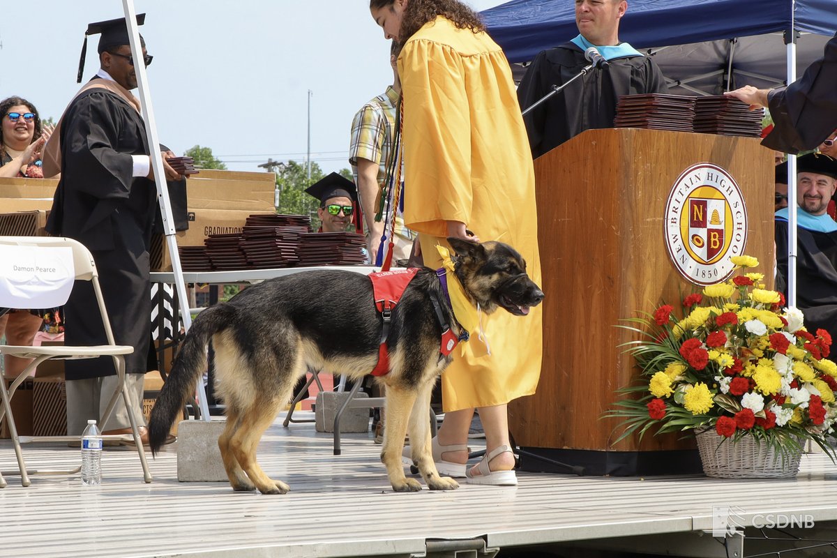 It was RUFF but they did it! 

Scout is a @fidelco guide dog in training who has been under NBHS senior Karina Diaz-Doran's care since he was a puppy. Today was LOUD and Scout handled it all like a pro. 

Congratulations Karina and Scout!
#guidedog #dogsofgraduation #GoodBoy