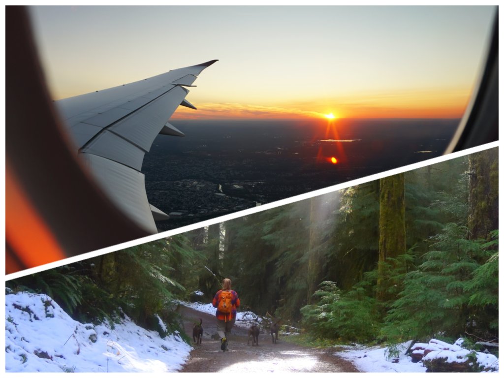 RunTriMag's tweet image. 🏃‍♀️✈️ Traveling for a race can be nerve-wracking! 😫 Don't let stress ruin your race day. Check out these 5 essential tips to have a stress-free ultra running racecation. 👜 Ready to race without worries? Click to read more! #RacePreparation

bit.ly/3N6oFSi