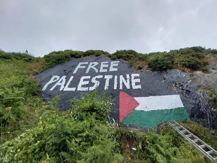 On a hillside in #Waterford

#Ireland 🇮🇪
#FreePalestine 🇵🇸