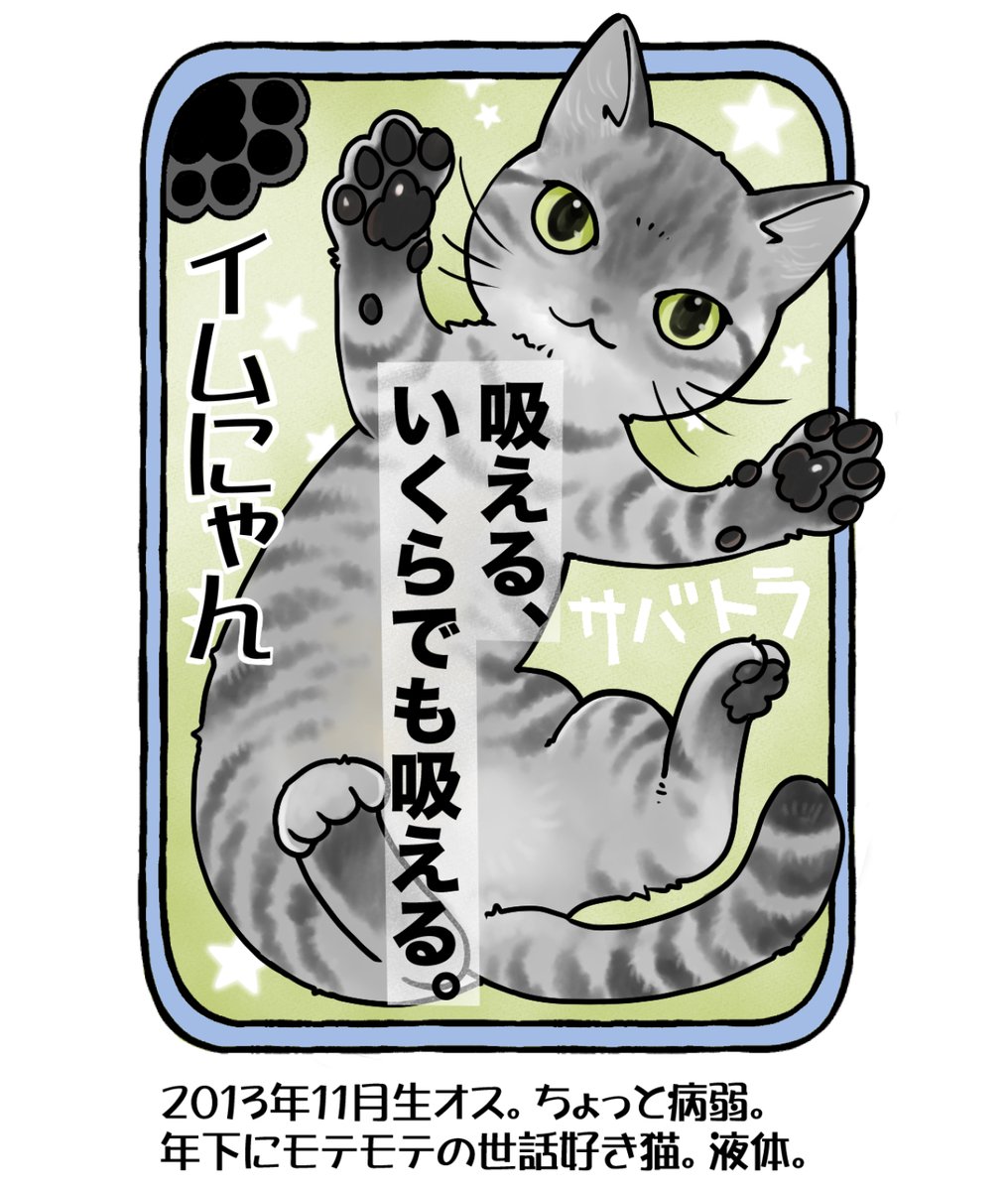 #今日の山野絵
#山野家登場犬猫紹介カード
4日目はイムにゃん🐈
ボランティアさん宅から譲り受けた彼、
子猫の頃から多くの猫さんに囲まれて育ったようです。
年下の4匹のお世話をする(してくれた)聖母(♂だけど)。
添い寝と毛繕いのプロ。

明日はきなこちゃん✨ 