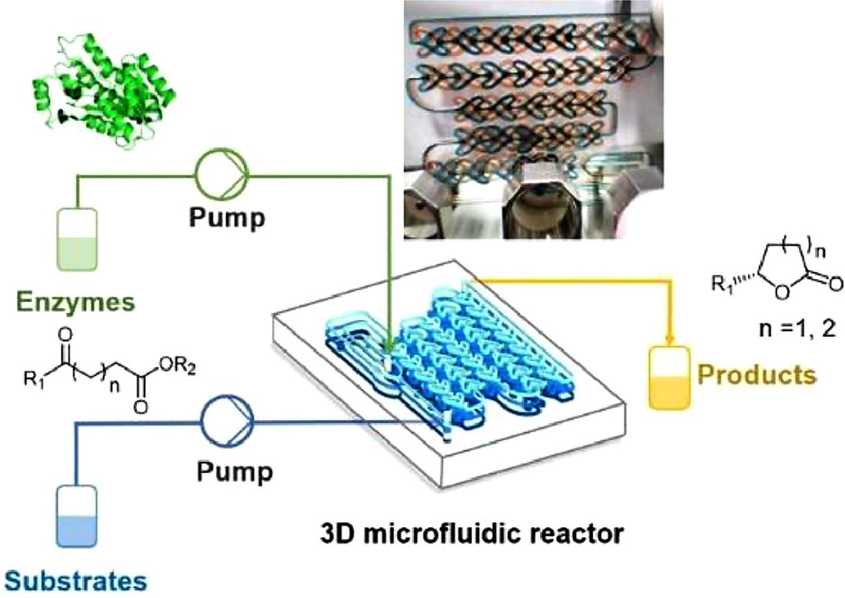 Continuous-flow enzymatic synthesis of chiral lactones in a three-dimensional microfluidic reactor
@ELSchemistry @ElsevierNews @InnovationChem @Innov_Materials @isciverse 

doi.org/10.1016/j.ccle…