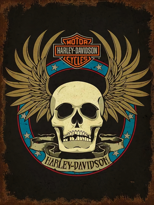 CodyCookstonArt's tweet photo. New artwork for sale! - "Harley Davidson Motorcycles Skull Head with Gold Wings Logo MGS316" - https://t.co/vnaqDDspUu @fineartamerica https://t.co/lZDZqL7bQq